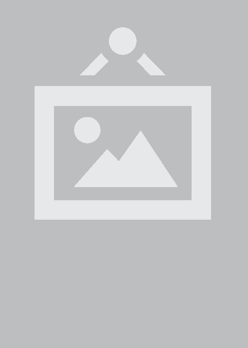 RACAO PET PALATTO ADULTO CAES MINI E PEQUENO 15KG FRANGO/ARROZ